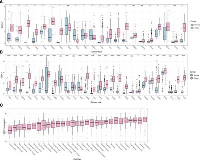 Pan-Cancer analysis and experimental validation identify the oncogenic nature of ESPL1: Potential therapeutic target in colorectal cancer